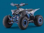QUAD VIPER LEM 125CC RUOTE 8