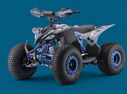 QUAD VIPER LEM 125CC RUOTE 8
