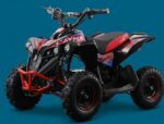 MINIQUAD ELETTRICO NCX CAYMAN 1000 WATT RUOTE 6