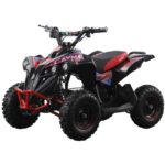 MINIQUAD ELETTRICO NCX CAYMAN 1000 WATT RUOTE 6