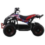 MINIQUAD ELETTRICO NCX CAYMAN 1000 WATT RUOTE 6